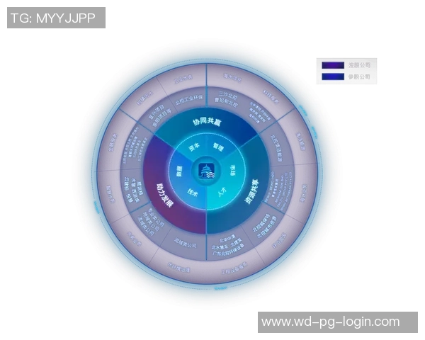 问鼎app-问鼎App，重塑未来商业版图的新纪元工具-问鼎app
